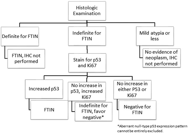 Figure 4: