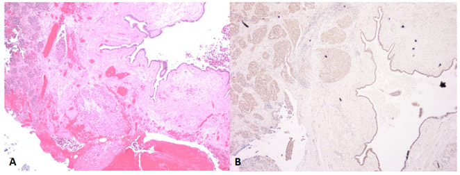 Figure 3: