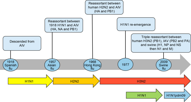 FIGURE 1