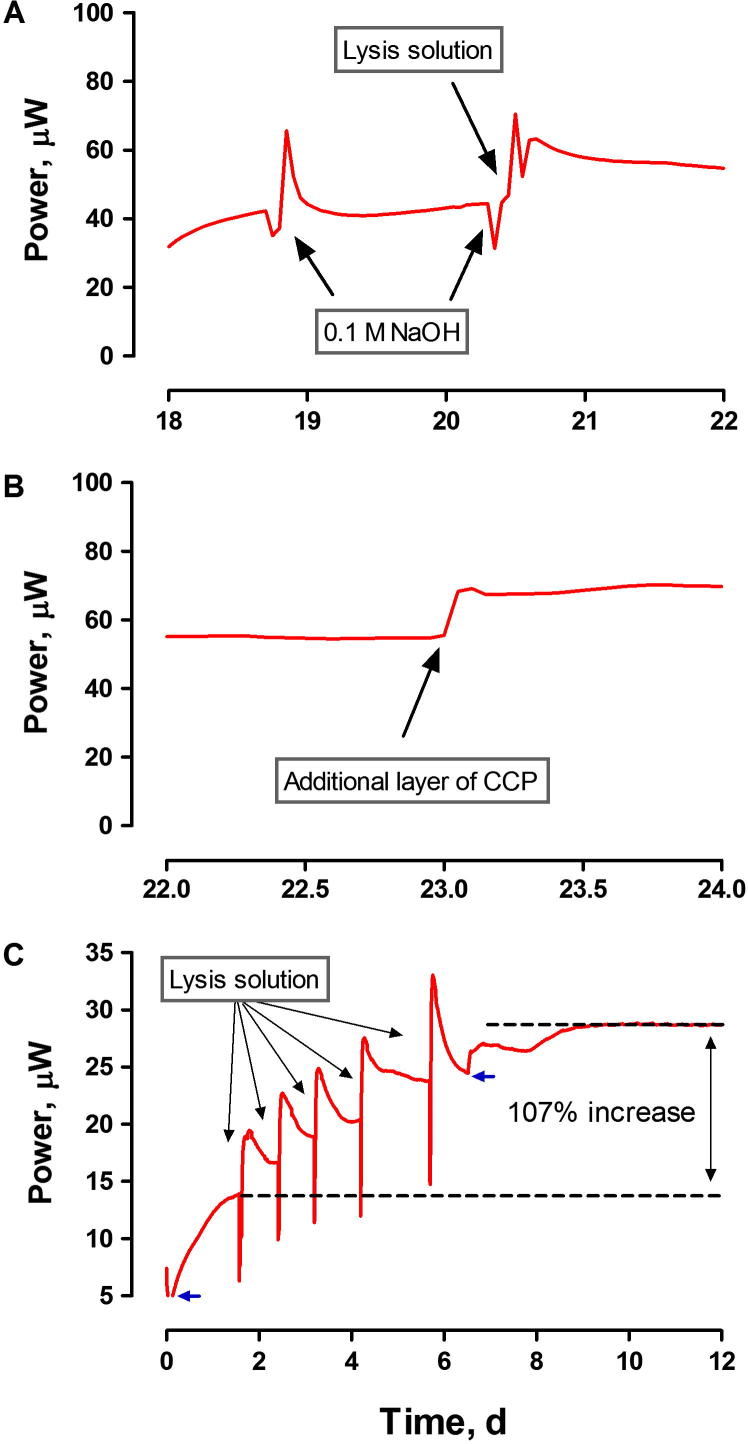 Fig. 4