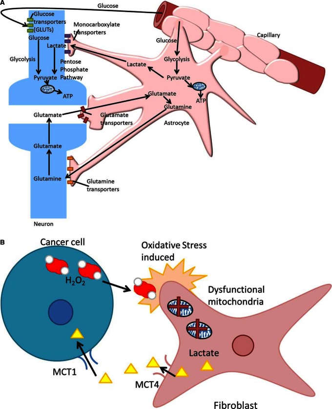 Figure 2.