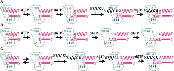 Figure 11.