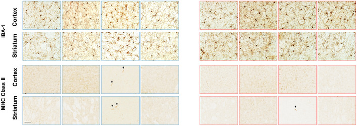 Figure 7B