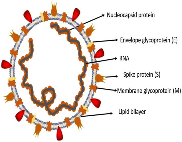 Figure 1.9