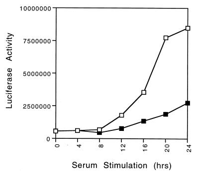 FIG. 5