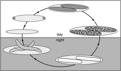 FIG. 6.