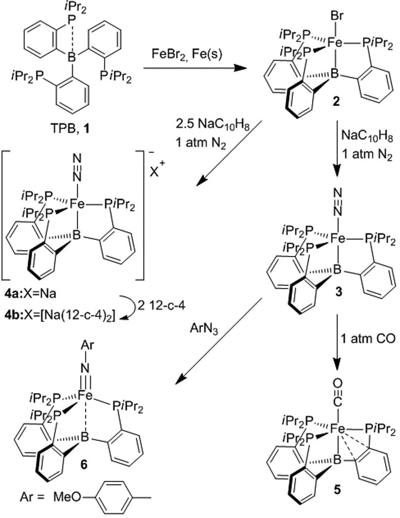 Scheme 1