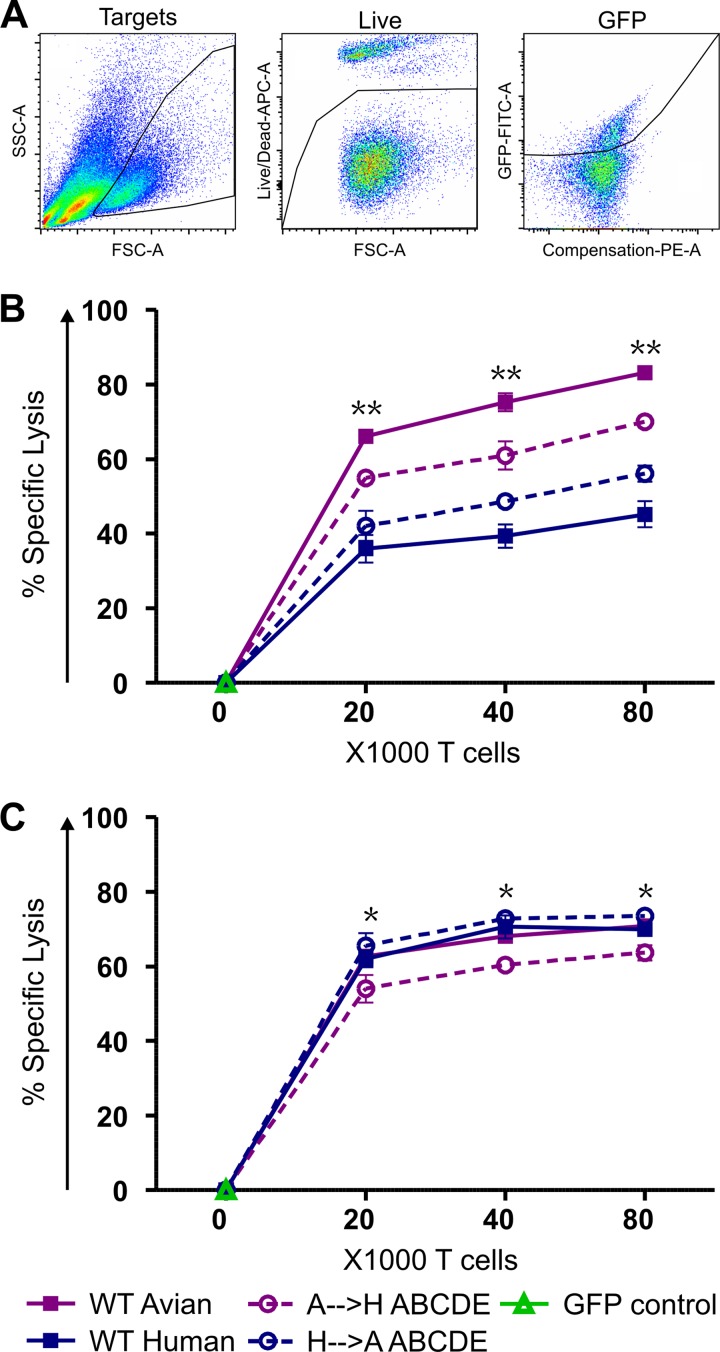 FIG 3