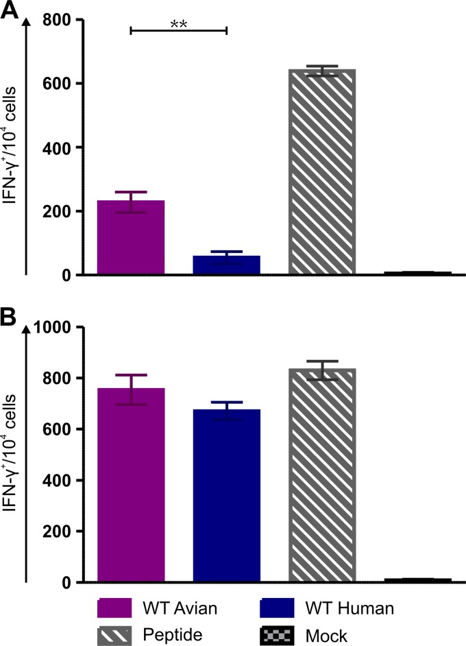 FIG 5