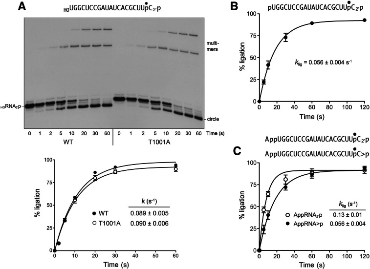 FIGURE 4.