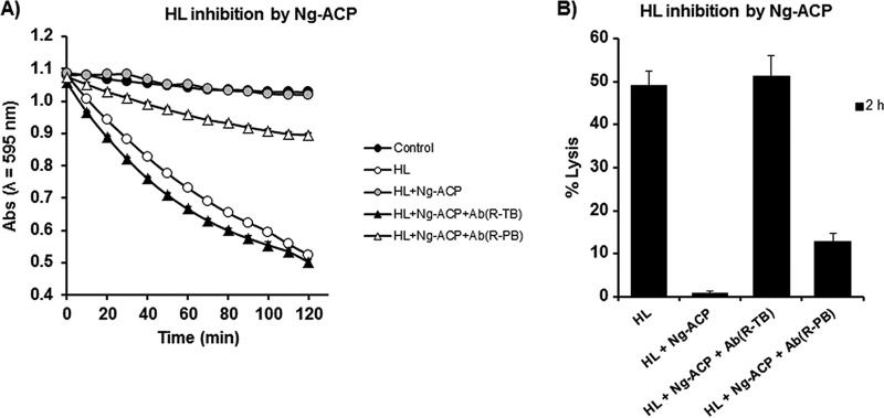 FIG 10