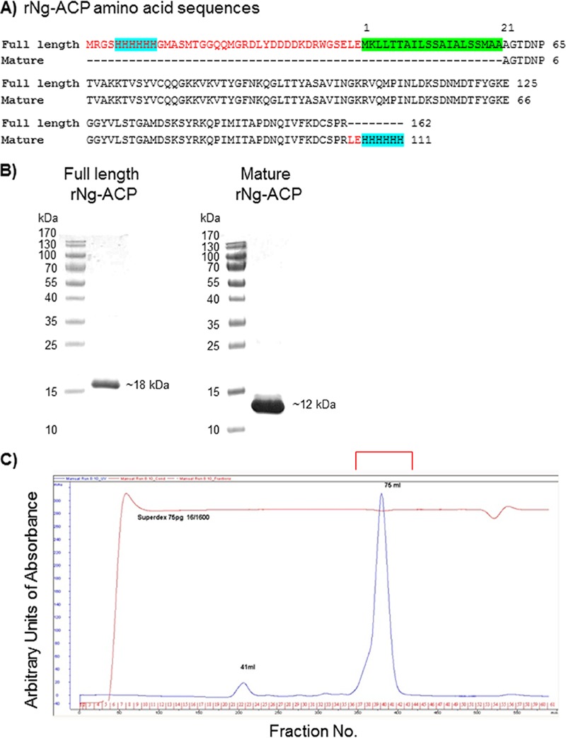 FIG 1