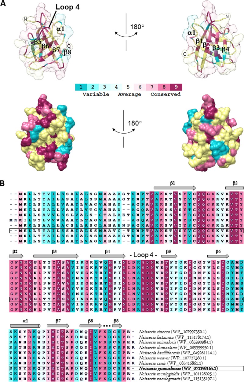 FIG 4