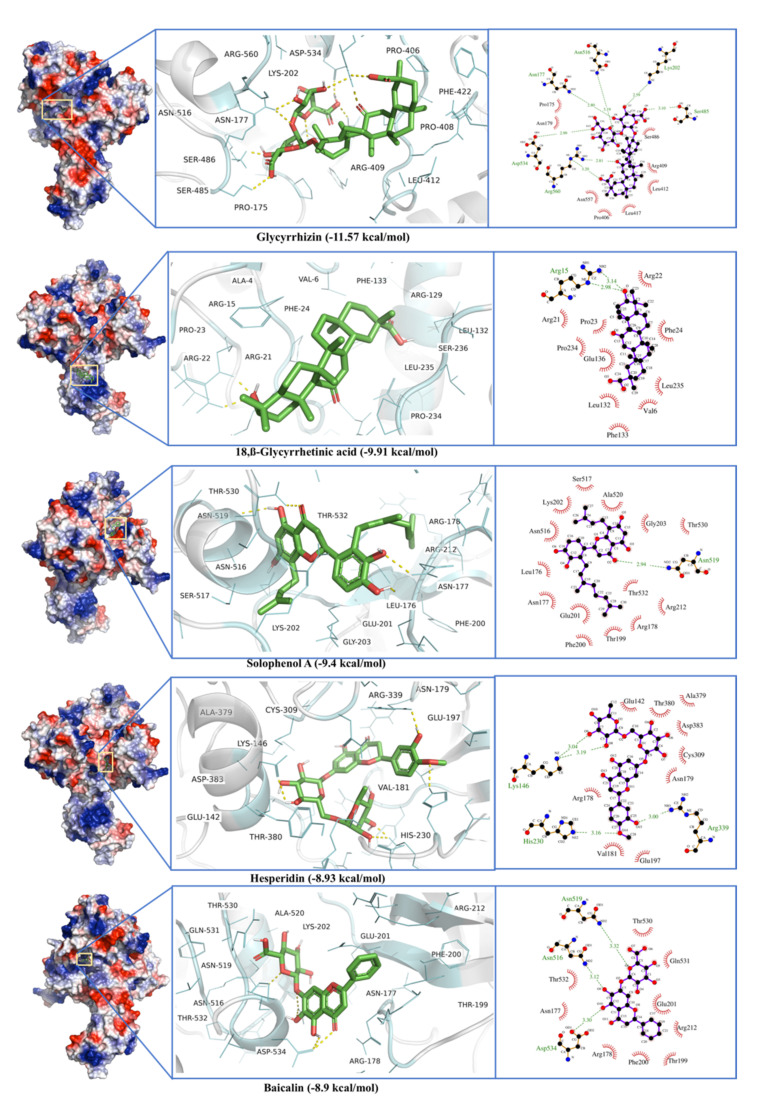 Figure 10