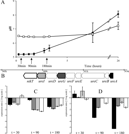 FIG. 4.