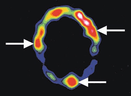 Figure 7.