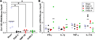 FIG 2