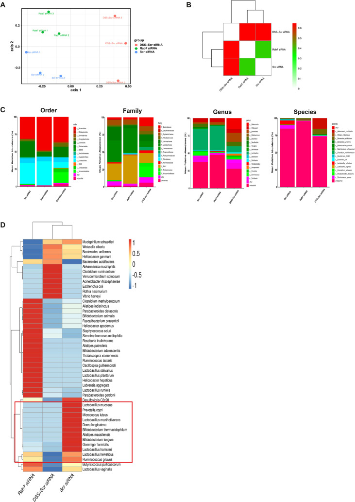 Figure 5—figure supplement 1.