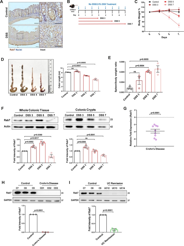 Figure 1—figure supplement 1.