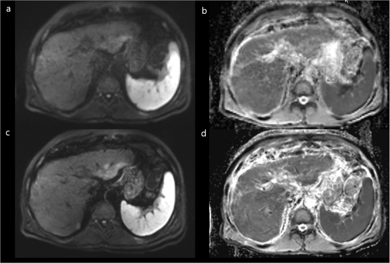 Fig 6