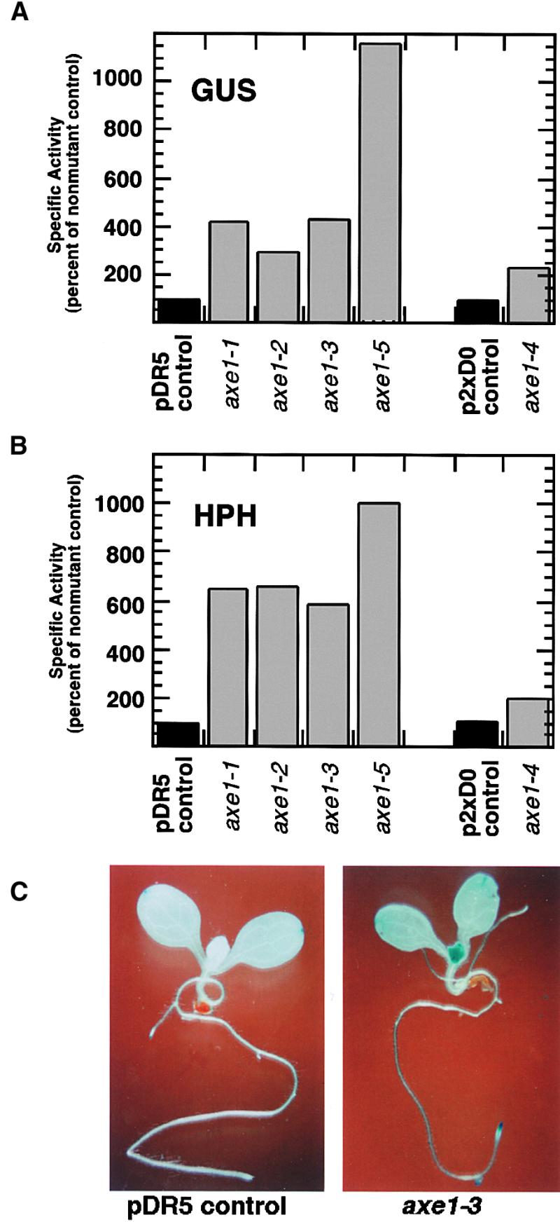 Figure 3.