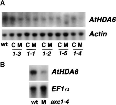 Figure 5.