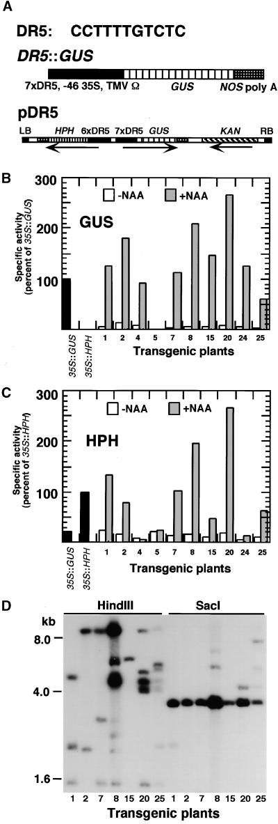 Figure 1.