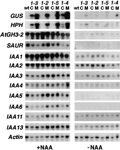 Figure 6.