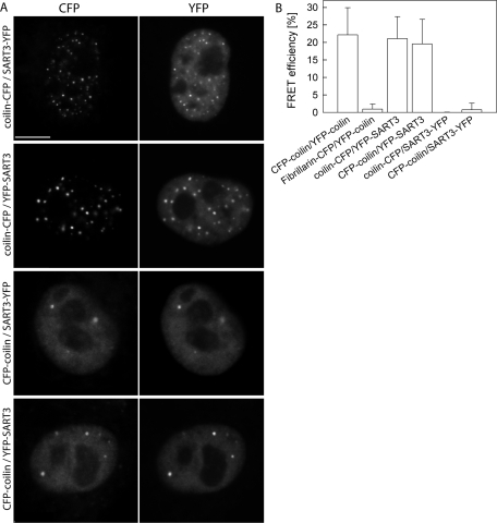 FIGURE 6: