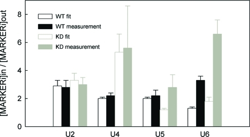 FIGURE 5: