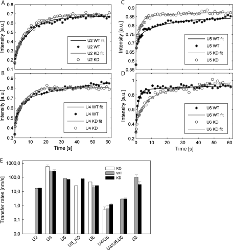 FIGURE 4: