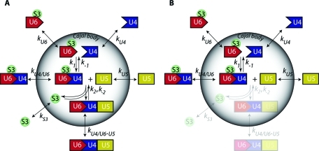 FIGURE 2: