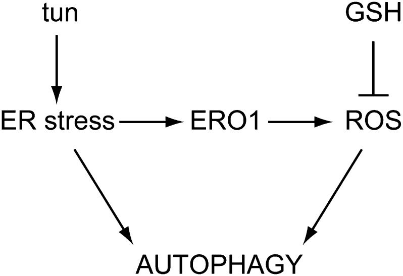 Figure 8.