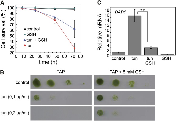 Figure 6.