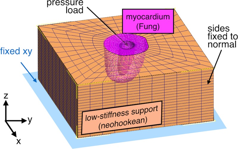 Fig. 2