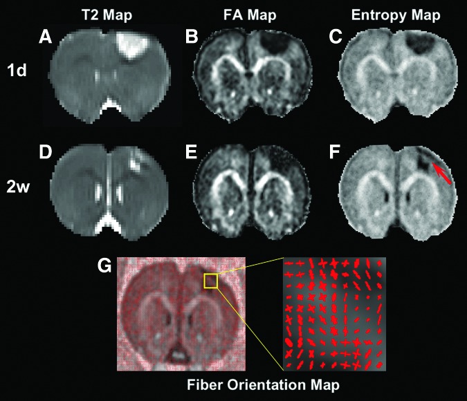 FIG. 4.