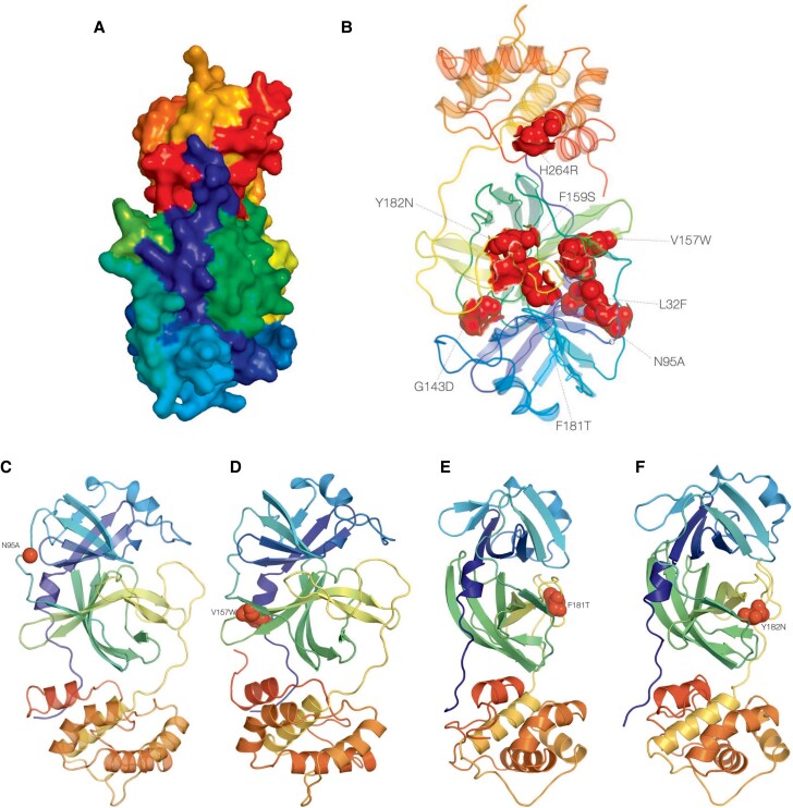 Figure 5.