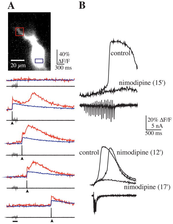 Fig. 4