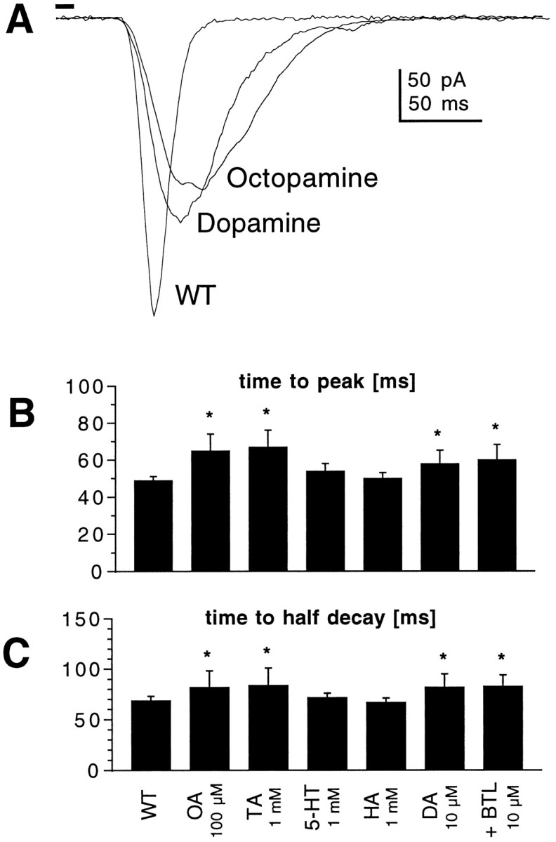 Fig. 8.