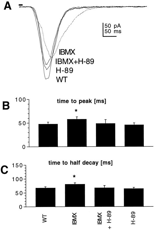 Fig. 5.