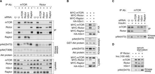 FIGURE 4.