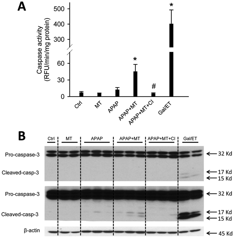 Figure 5: