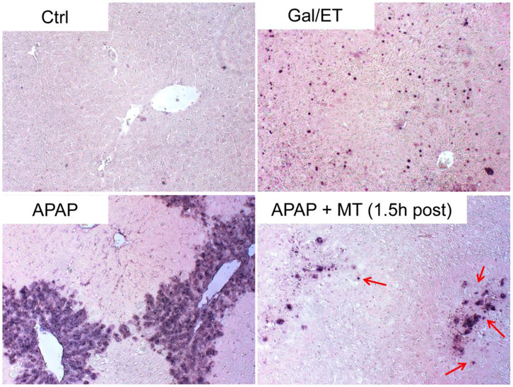 Figure 4: