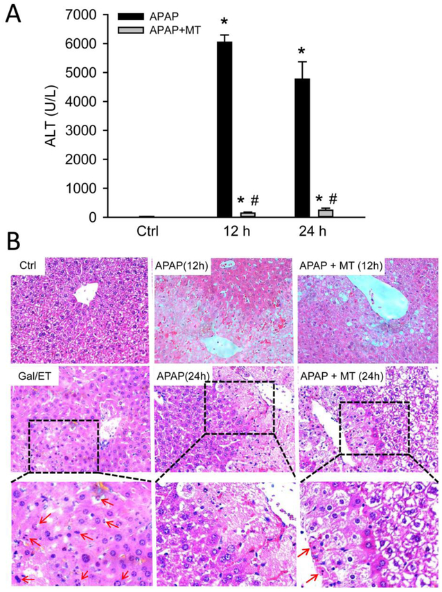 Figure 1: