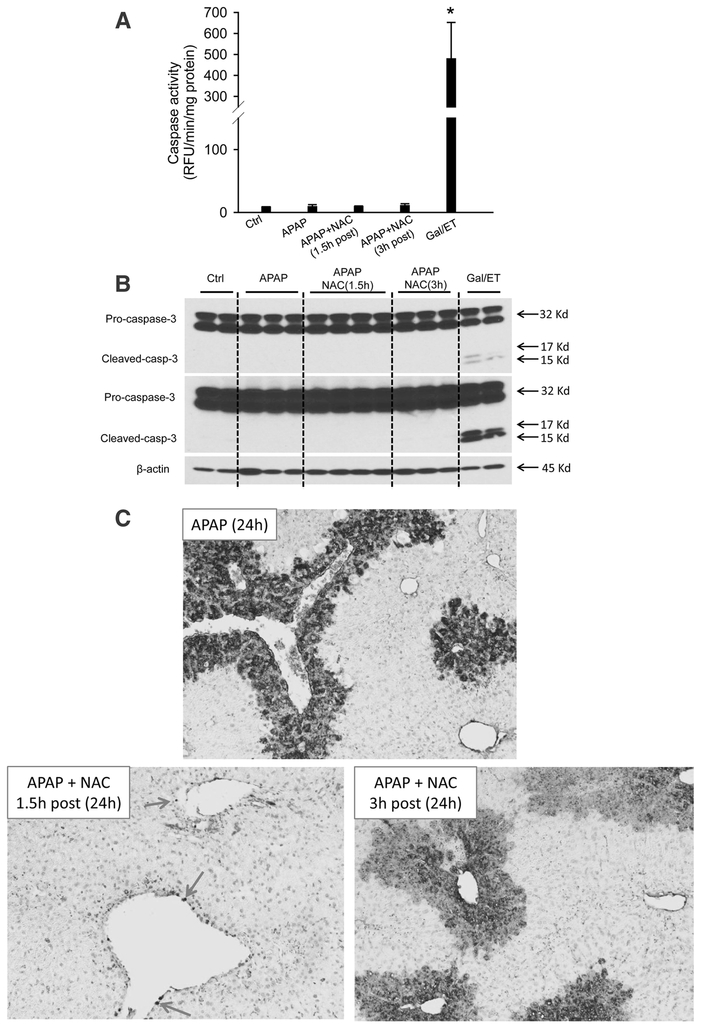 Figure 9: