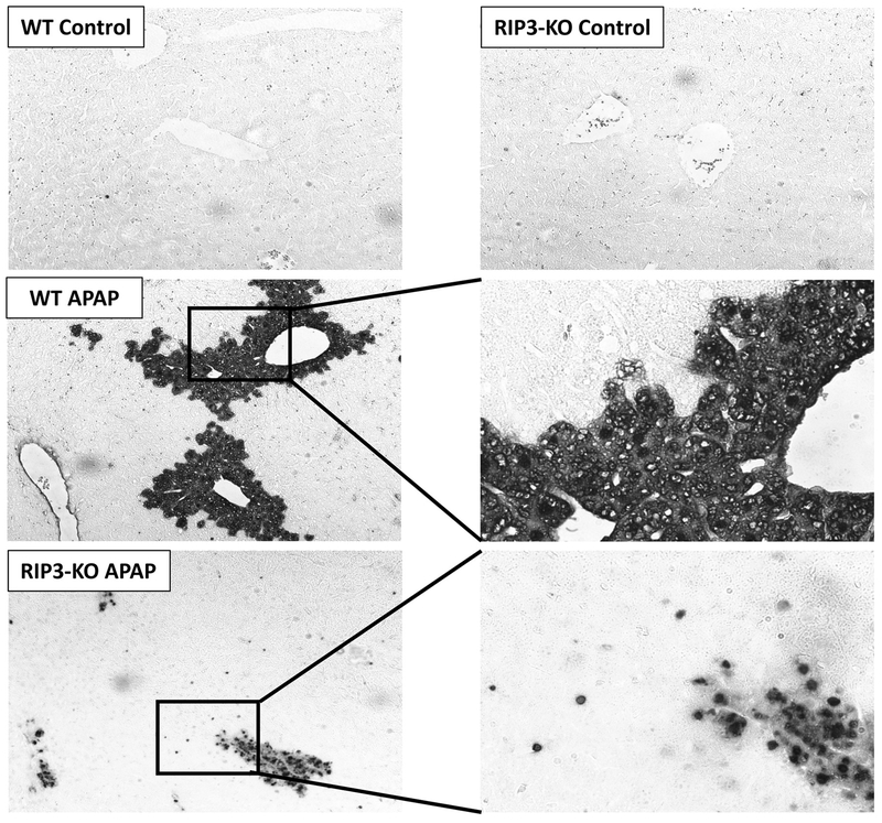 Figure 11: