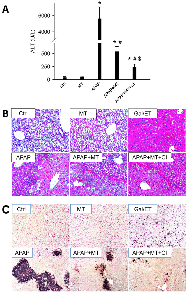 Figure 6: