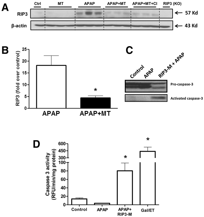 Figure 10: