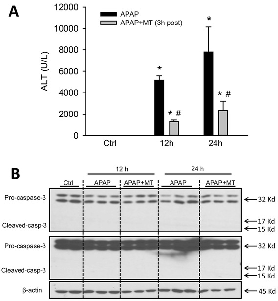 Figure 7: