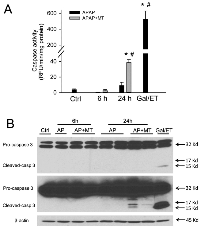 Figure 3: